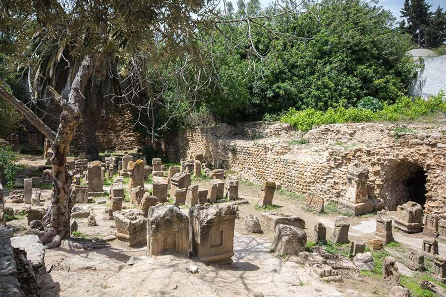 Dar Mayya 라 마르사 외부 사진